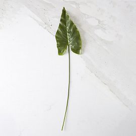 HOJA DE CALLA 83 CM