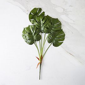 7 RAMAS DE MONSTERA 74 CM